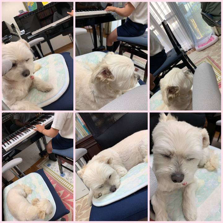 B7269690 9ba0 4d70 bcdb a9f3be12f26d 1619093030888