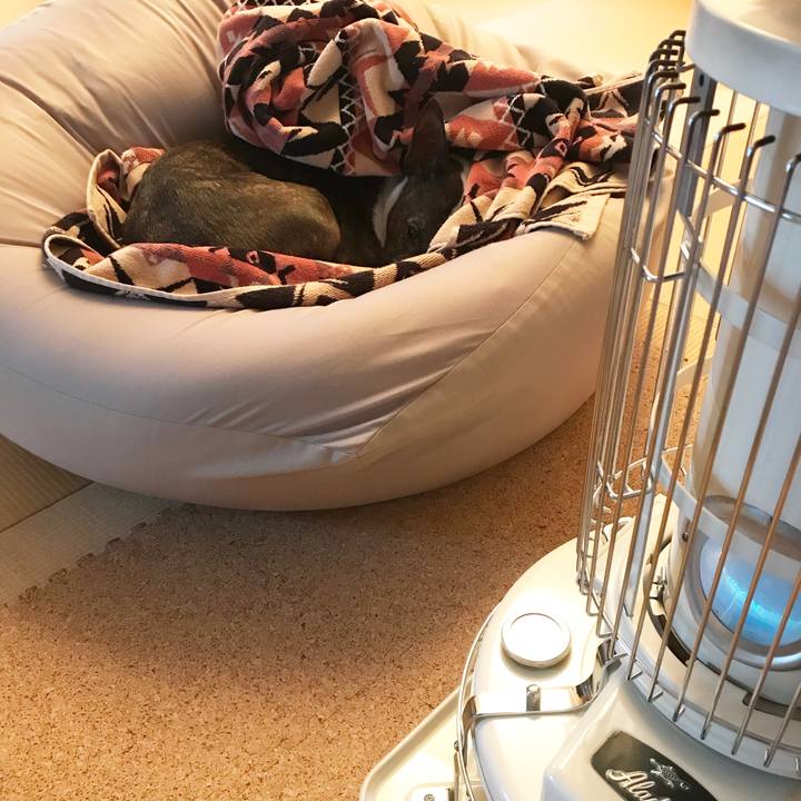 B726e65a da97 4ce5 ac95 6931ad9afd51 1519540535952