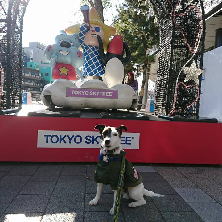 B7271b88 dc17 48d2 95e0 91548fc22263 1517722667331