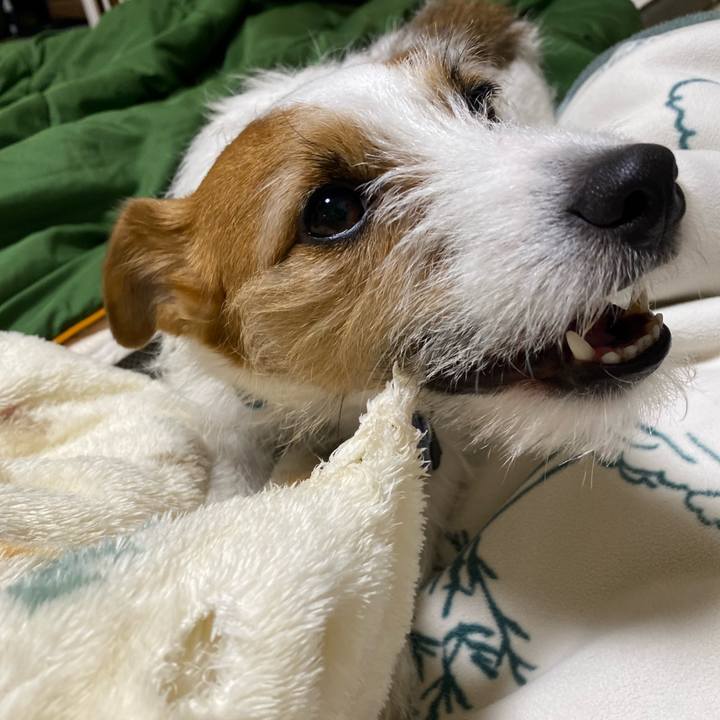 B7275520 df24 4531 86e5 0cb373325a52 1740668326176