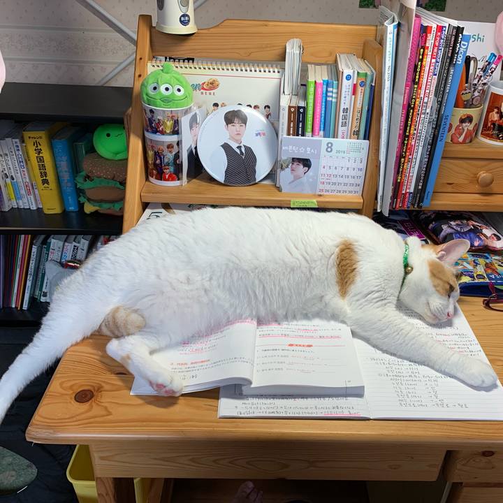 B727714f 91d1 4314 b04d 99680cc4a3f9 1565760641118