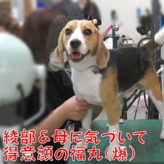 B7277be4 af78 4bbc a749 9610996fa4d3 1688596574419