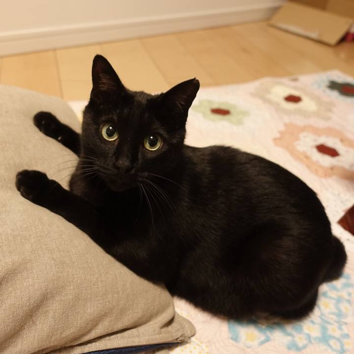 B7278fb3 1d8a 45c1 b8e2 d2716646d09e 1534344290373