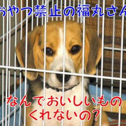 B727ce26 02d1 45b4 abe8 148dd1cfe4b7 1681702634311