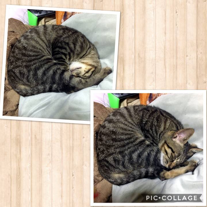 B727cf99 1e7a 49ae 94cf 24080d1dbcf2 1538049129602