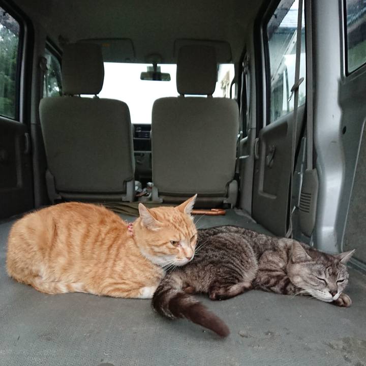 B727f533 cddc 4beb ae16 9c7d240b1ab6 1561627177921