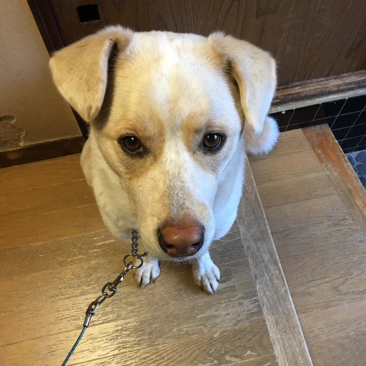 B7283076 cf97 4f05 a418 787c295e77de 1515808743536