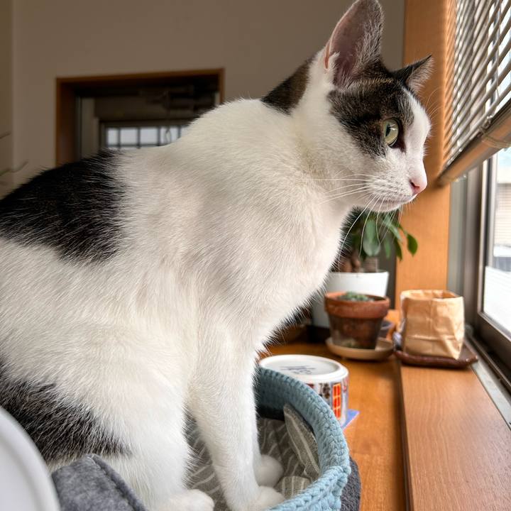 B7286148 c81d 47a6 aeb2 b5fd11a20e97 1727387303713