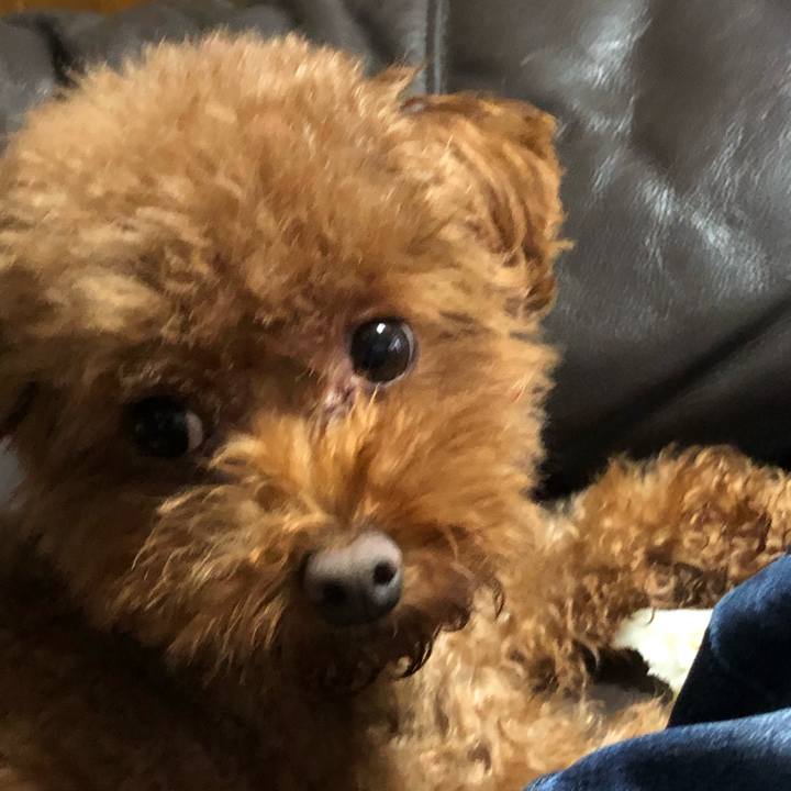 B7288062 a2a8 404f 9c37 ce953420be2d 1571879005772