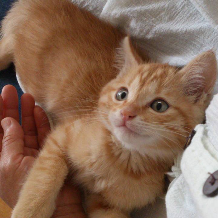 B7288988 52f0 4783 8637 1b18c08e5d57 1514292887305