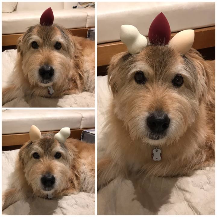 B7288bfd 27d0 4f93 853c 4b363f5414d0 1680872529696