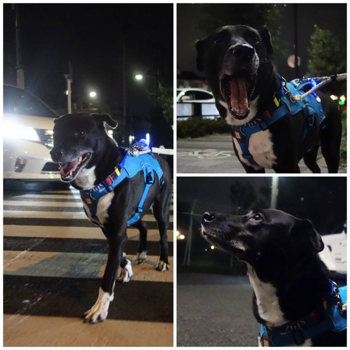 B728d3e1 f0ff 4f6f ae0f a8a4978195d9 1667560498232