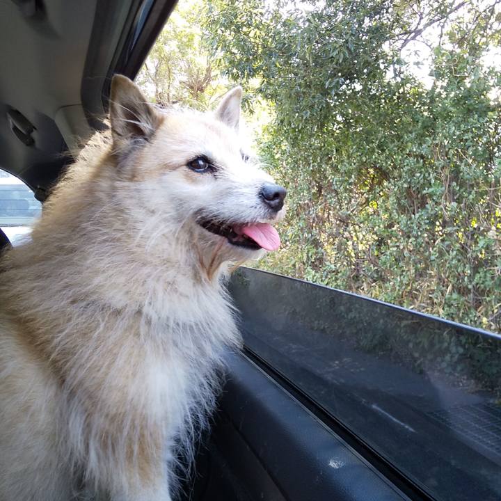 B728dc33 57e4 4ab5 a346 ce0b274aad8d 1553141078299