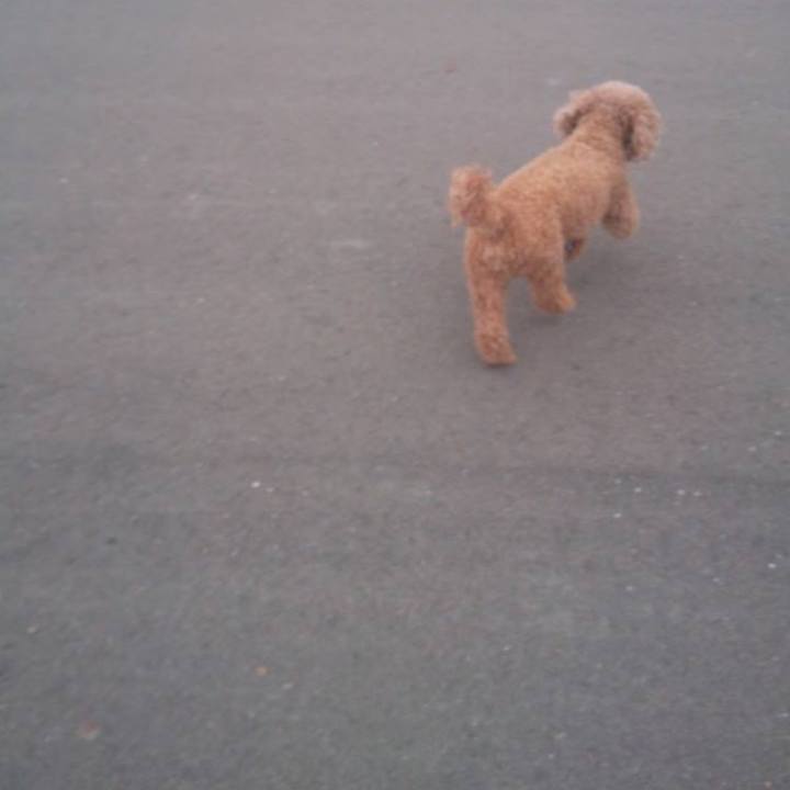 B728f587 1e98 47b4 9170 53f8f702c570 1567257358615