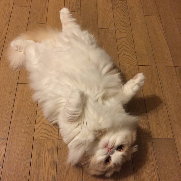 B728fc1f 5d9f 4990 8e31 31b7c2963539 1521895593781