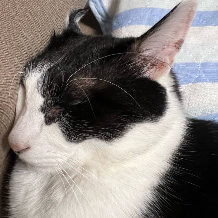 B72902e8 17c9 4520 898a 605b80954a54 1690629508525