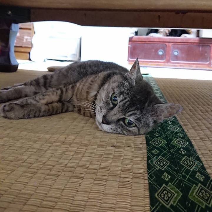 B7298ef1 bf5f 454b b426 ecda032d4611 1566302282276