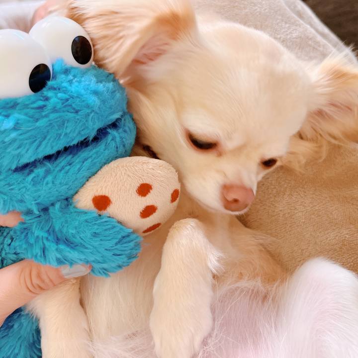 B72995bd d5a5 4600 8b6b 246a0fd14ef0 1658457298537