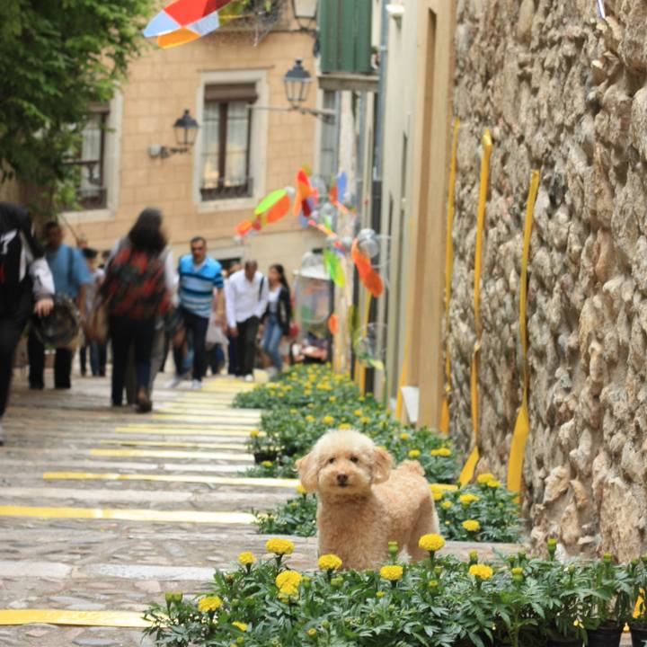 B72999e4 c1b6 4bb2 be21 981da551bd28 1527017541632