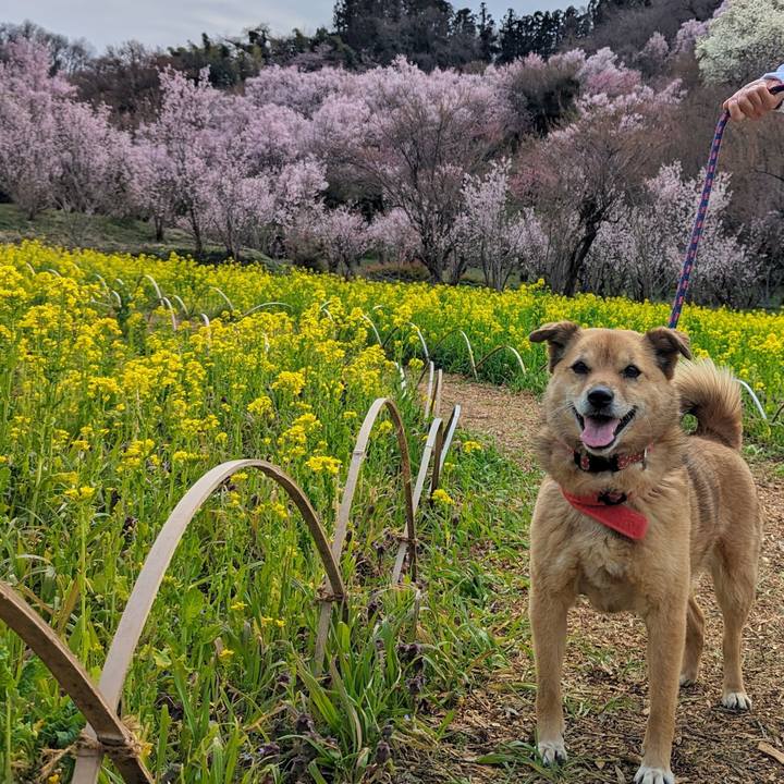 B729affe 9607 4559 a41b 4a6743e991a6 1712238193987