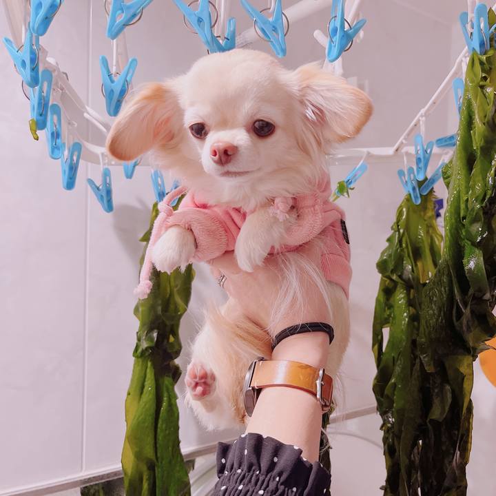 B729c43c 21f1 4f00 8a8b 9b95f0590037 1678703727599