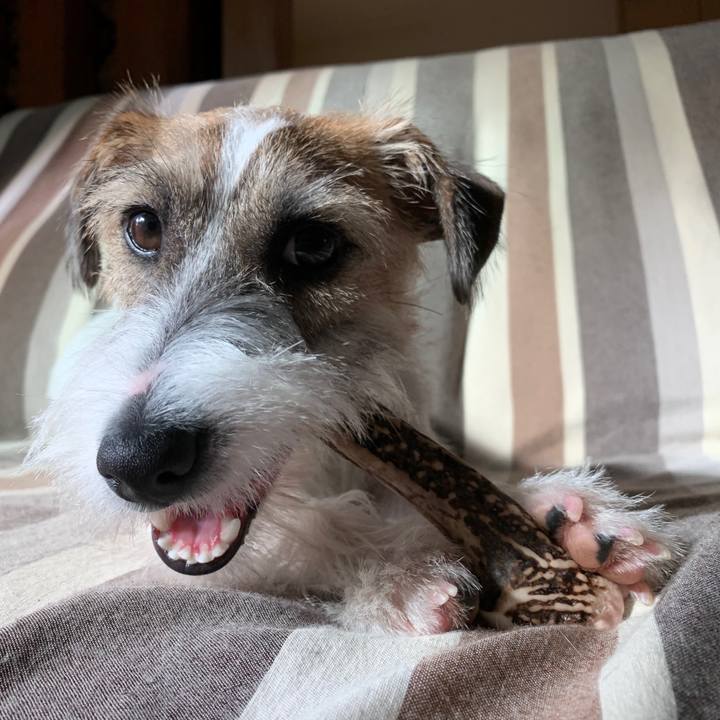 B72a2fc0 6e42 4cea a3c2 eddb8bead3a7 1573776277257