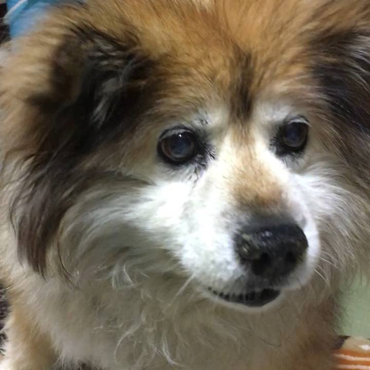 B72a5bc1 64d8 4c19 af3e 88547da28aaa 1553246631107