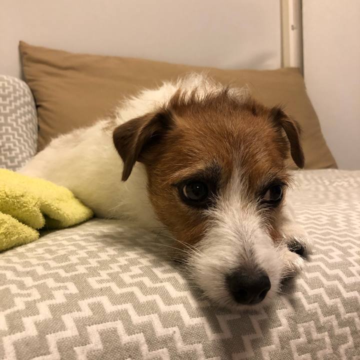 B72a7188 cdad 4962 a5eb 81ccd659bbfc 1620210033944