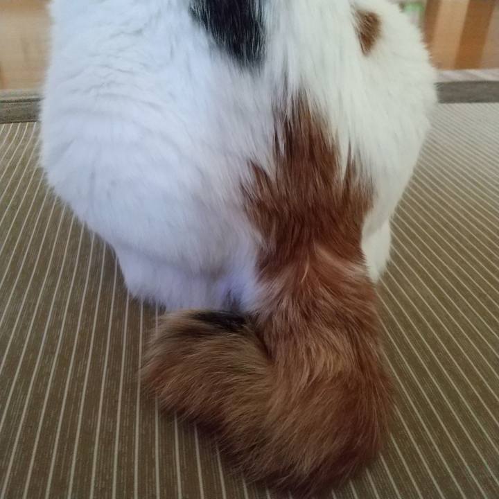 B72a75d7 a16c 41f0 a0b9 fce7b15433ef 1630108852113