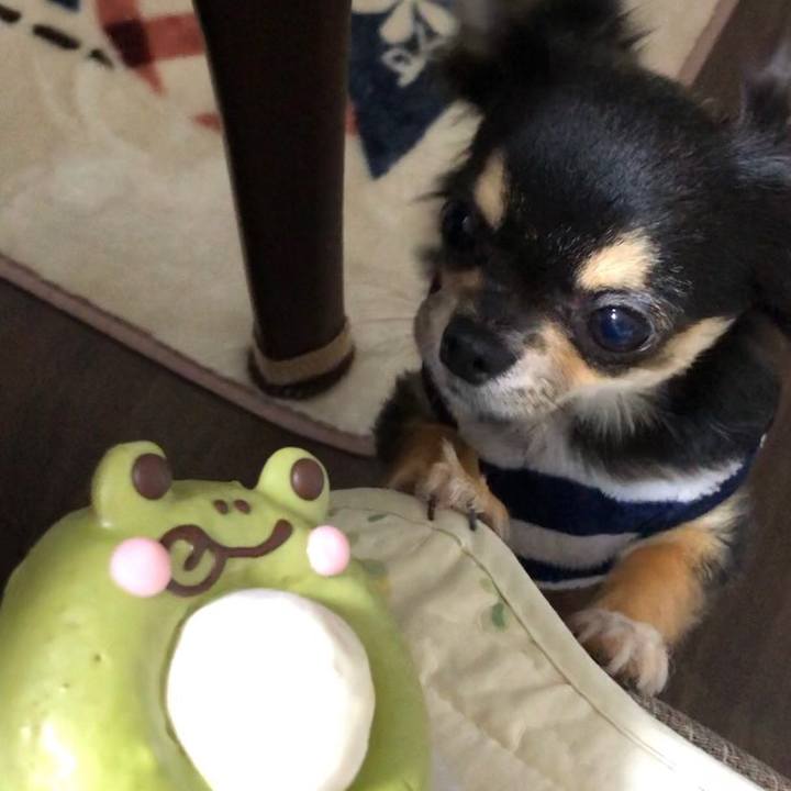 B72aafb9 7bb9 4ba6 b9e4 026695b6d81f 1545905775393