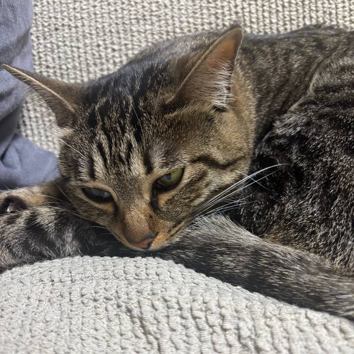 B72ab8df eddc 4625 b84e b09b6a24d5f4 1767580743950