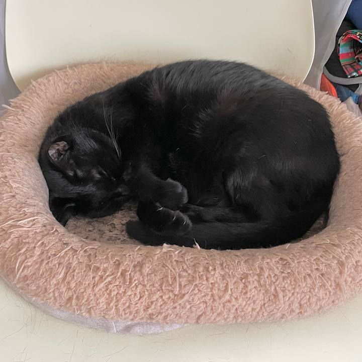 B72ac876 b3eb 4ea1 bd21 56334387d420 1696756899058