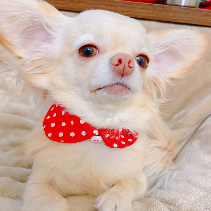 B72b037a 8d20 431a 967b 70ddfbe231e1 1642675034196