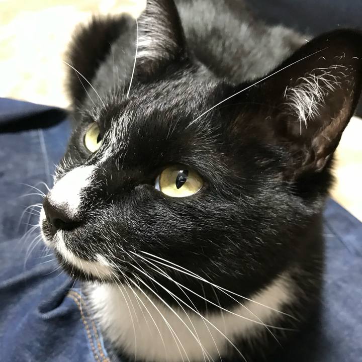 B72b2417 6851 4401 8ad1 0e90197957c0 1672536219499