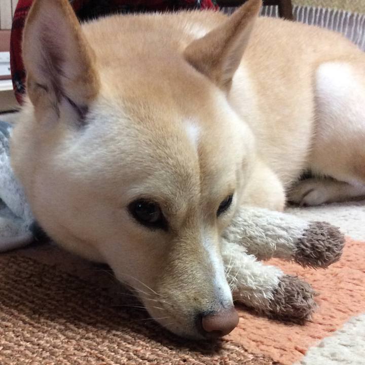 B72b49bb 3364 435e 9484 484fae619570 1541576942116