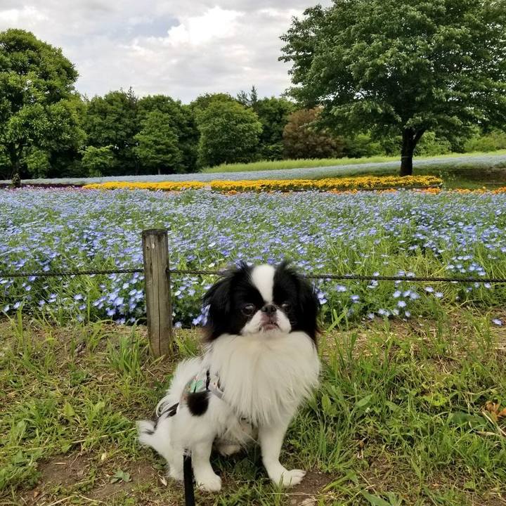 B72b677c c857 4c37 b12b 2e25b53c4edf 1652001935901