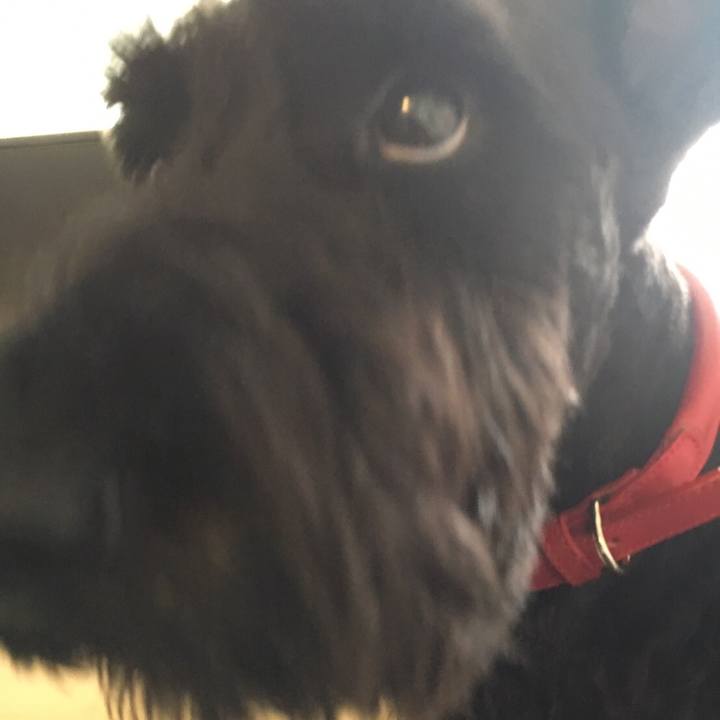 B72bfa3d b7f4 449d ac91 9899f80da2e7 1554721580889