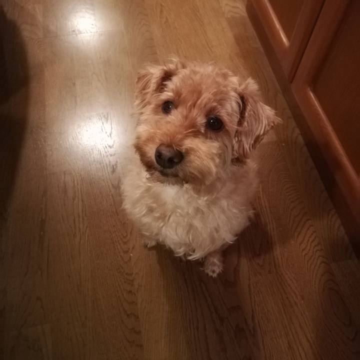 B72c566a a94e 4f68 b8ec ecb7e2584b5f 1529273925183