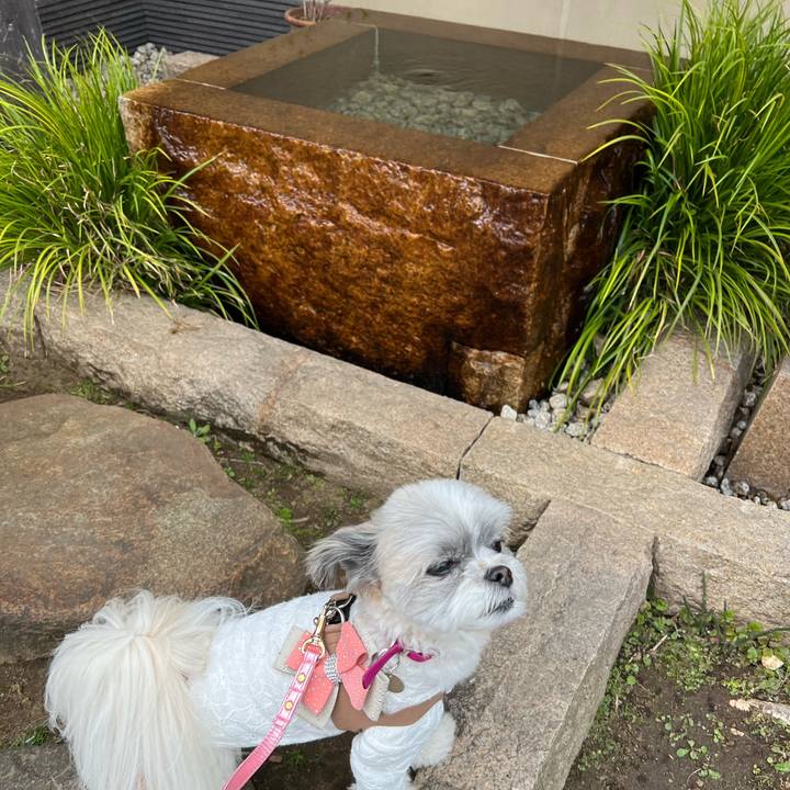 B72c8ee8 688e 4e2f b6e1 494976235891 1648704693229