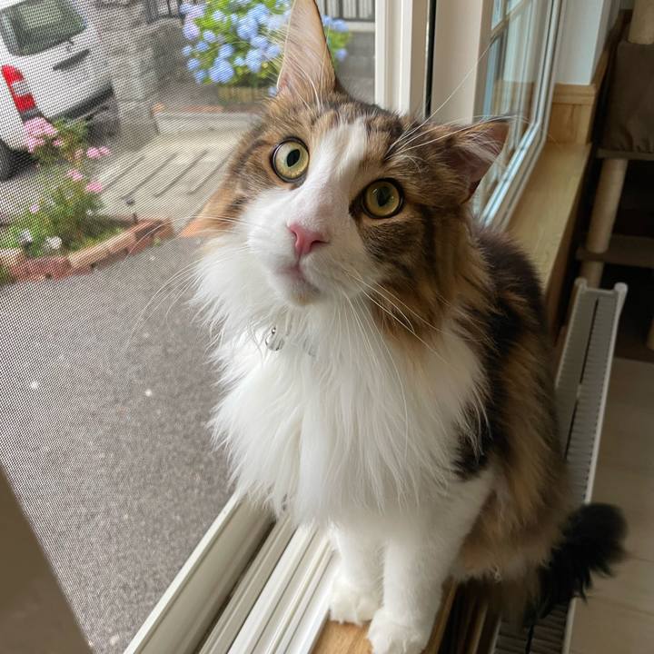 B72c9536 fecb 454a a7ef 98bde9cc4ca8 1657577554026