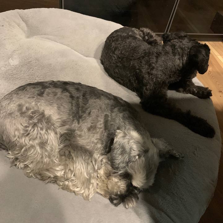 B72ca9a8 8547 4215 aeb1 237649b652e6 1678528673142