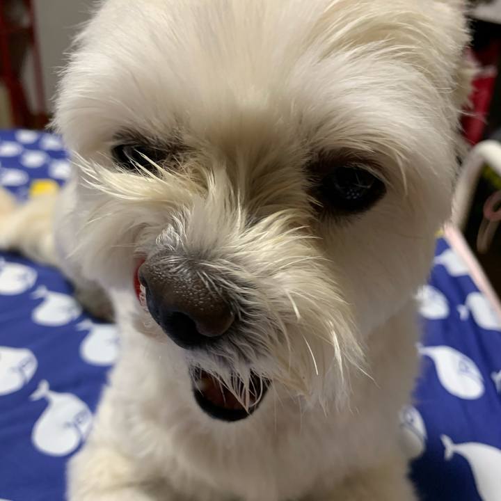 B72cf141 fcfa 47cd a47a 01a8e21ce908 1627470699852