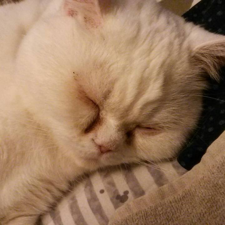 B72d0b32 5292 40d9 996a c45727246208 1549109911038