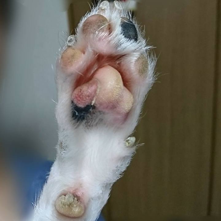 B72d3b75 3401 4e4a b042 60e851de07fe 1531130552469