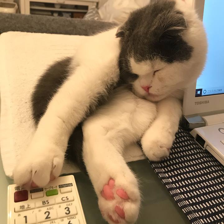 B72d5926 e08f 400c 9817 6905afc2397f 1516271525853