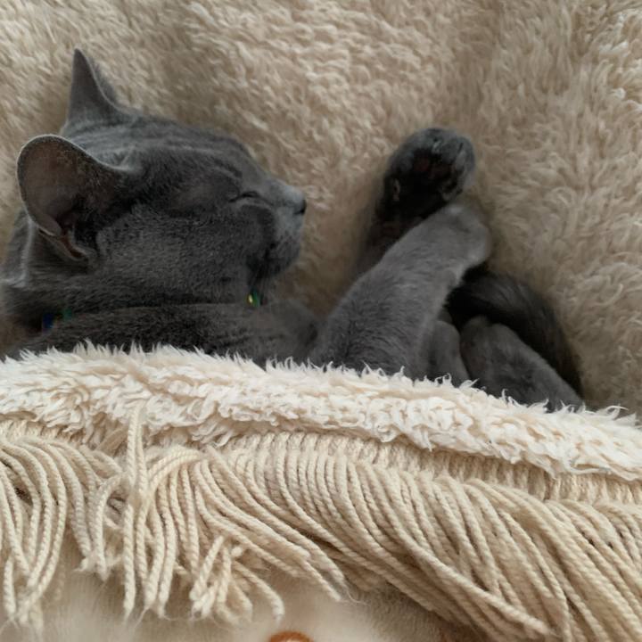 B72d6772 3192 4fb2 83d0 7b69bb80bcd0 1642323017563