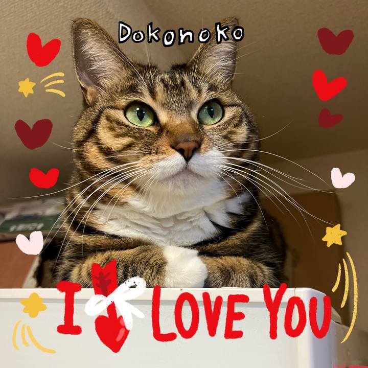 B72e3079 cc2c 4e39 bc3a 5599a8b8a1a7 1707222247106