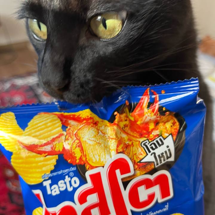 B72e66e3 e4d4 4f5e b21b 1c1960f8ea4a 1697501513013