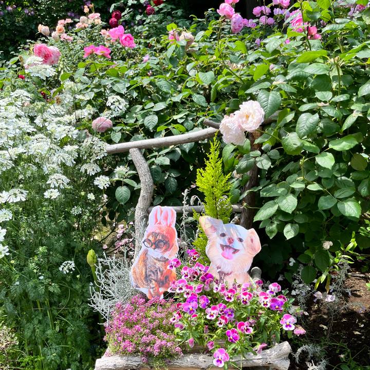 B72e6b78 1251 47f1 a1cd c69db4a131b5 1653284446488