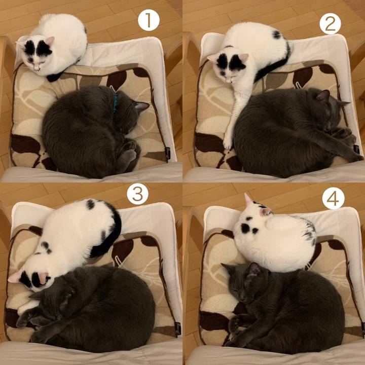 B72e80a0 56a2 4201 a86e 6a75088a073a 1698276936340